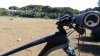 20160514_113035_Burst08.jpg