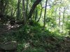 Foto0267.jpg