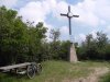 SDC12405.jpg