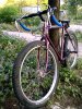 WP_20160613_19_52_11_Pro.jpg