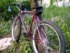 WP_20160613_19_52_00_Pro.jpg