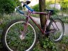 WP_20160613_19_51_45_Pro.jpg