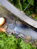 IMG-20160614-WA0003.jpg