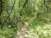 IMG_20160616_141318.jpg