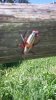 20160618_102142.jpg