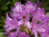 DSCN0338.jpg