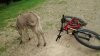 IMG-20160702-WA0001.jpg