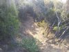 IMG_20160705_074233.jpg