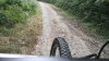 IMG_20160725_100525.jpg