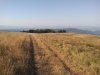 IMG_20160731_081258.jpg