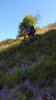 IMG-20160807-WA0000.jpg