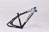 XLR8RightingGD2.jpg