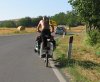 canino_a_rimorchio.jpg
