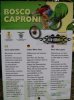 cartmtb.jpg
