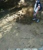 DSCN0217.JPG
