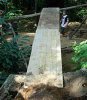 DSCN0216.JPG