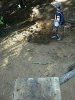 DSCN0218.JPG