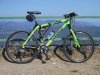 Resize_IMG_1033.JPG
