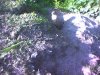 Foto_20_.jpg