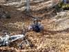 DSC00114.jpg