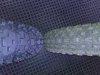 WP_20160930_002.jpg