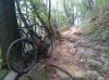 IMG_20161002_104323.jpg