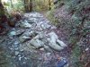 IMG_20161003_111625.jpg