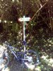IMG_20161003_121015.jpg