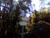 IMG_20161003_111253.jpg