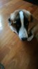 IMG-20160901-WA0001.jpg