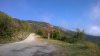 WP_20161016_005.jpg