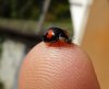 DSC01104.jpg