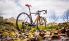 Giant-TCR-pro-disc-2017-6.jpg
