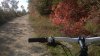 WP_20161029_004.jpg
