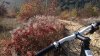 WP_20161029_015.jpg