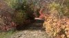 WP_20161029_006.jpg