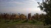 WP_20161029_011.jpg