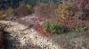 WP_20161029_014.jpg