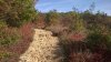 WP_20161029_016.jpg
