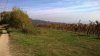 WP_20161029_013.jpg