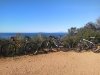 IMG_20161029_100524.jpg
