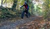 WP_20161101_13_32_07_Pro.jpg