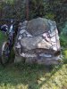 IMG_20161103_120511.jpg