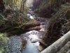 IMG_20161103_121502.jpg