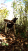 vlcsnap-2016-11-10-17h33m29s153.png