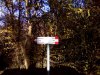 IMG_20161112_103128.jpg