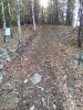 IMG_20161116_124651.jpg