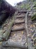 IMG_20161128_100851.jpg