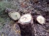 IMG_20161128_101707.jpg