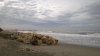 WP_20161119_16_05_05_Pro.jpg